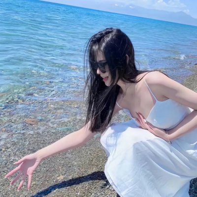 工程师普赖特的方案